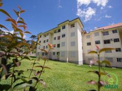Apartamento para Venda em Canela - 5